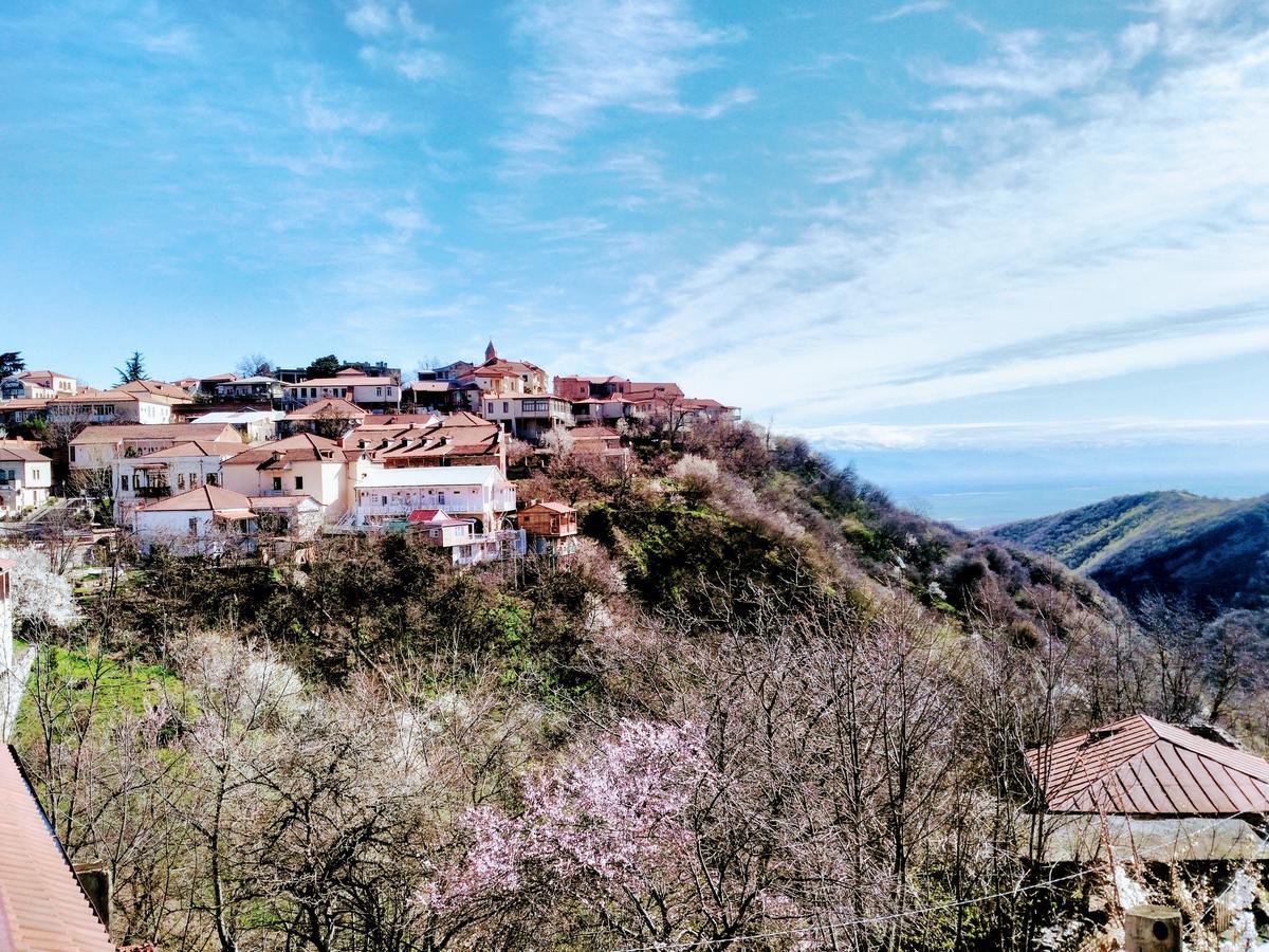 Hotel Three Gracia Sighnaghi Zewnętrze zdjęcie