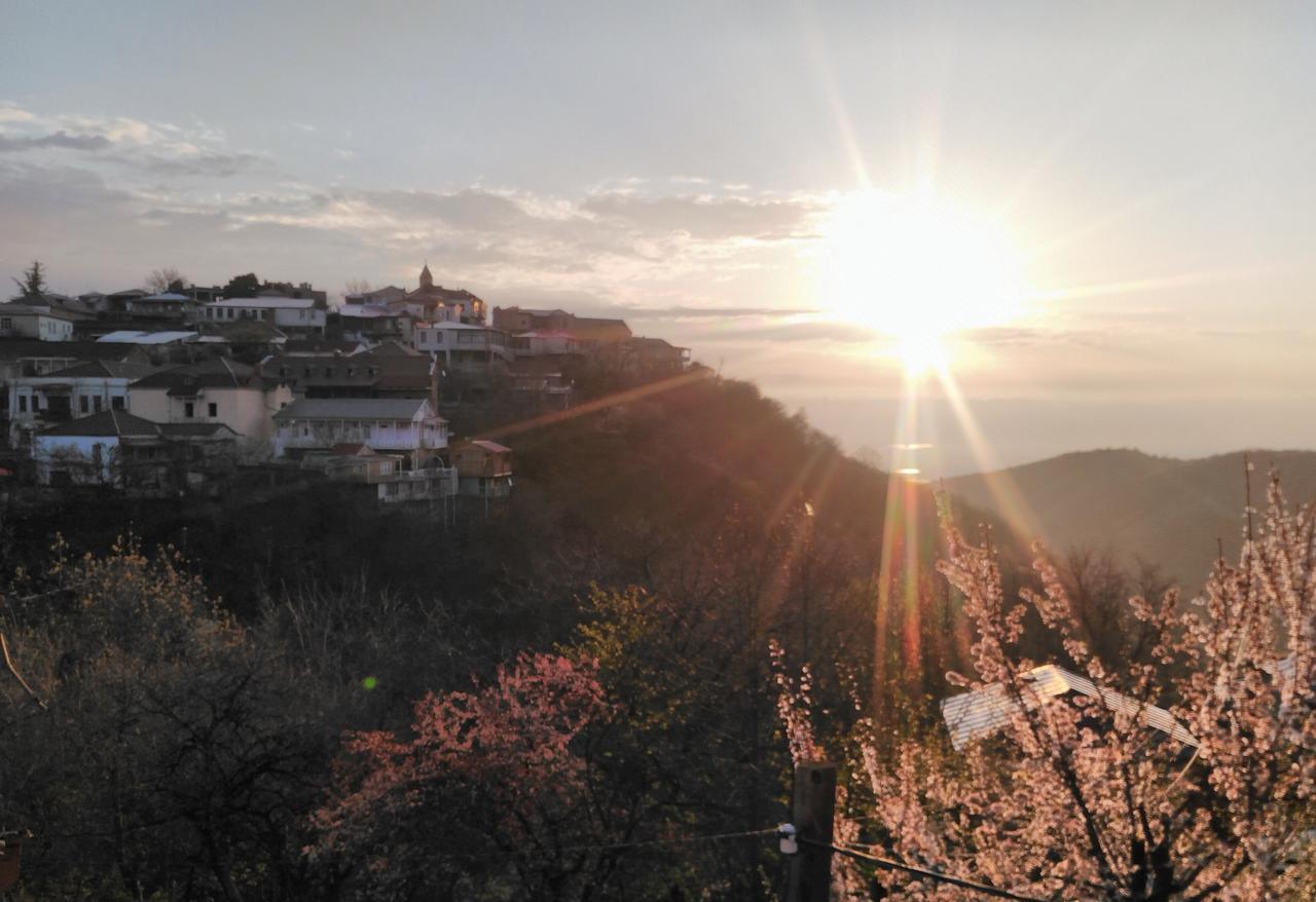 Hotel Three Gracia Sighnaghi Zewnętrze zdjęcie